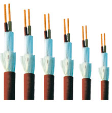 氟塑料(liao)絕緣和護套耐(nài)高溫電纜