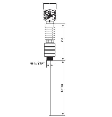 高溫(wēn)導波雷達(dá)物位計外(wài)型尺寸圖(tu)