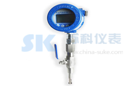 插入式熱式(shì)氣體質量流量計(jì)圖示