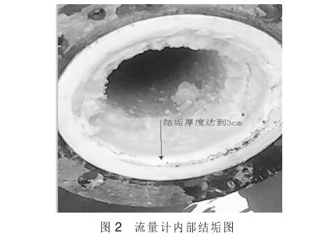 電磁流量計(jì)内部結垢圖(tu)例