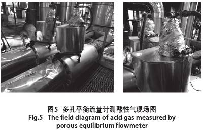 多孔平衡流(liú)量計測酸性(xìng)氣現場圖示(shi)