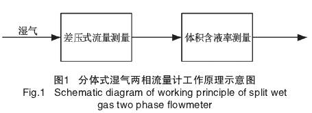 分體(ti)式濕氣(qì)兩相流(liu)量計工(gōng)作原理(lǐ)圖示
