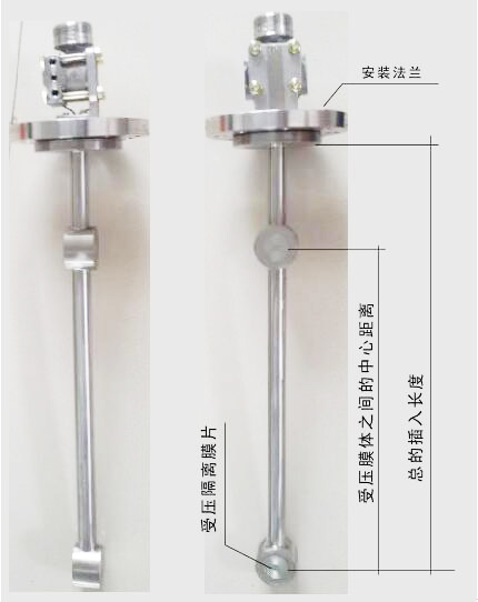 頂裝(zhuang)型差壓式(shì)密度計圖(tu)示