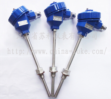 防爆型熱(rè)電偶