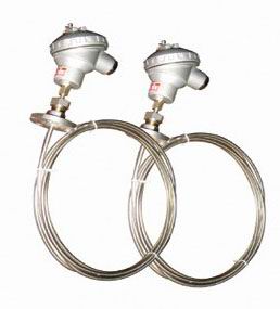 多(duo)點熱電(diàn)阻