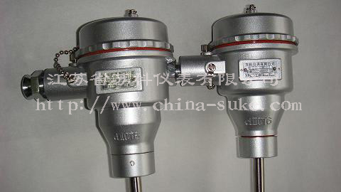 隔爆(bào)型熱電偶(ǒu)