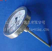 耐(nai)震溫度計