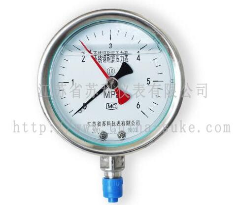 記(ji)憶型壓力(lì)表産品圖(tu)