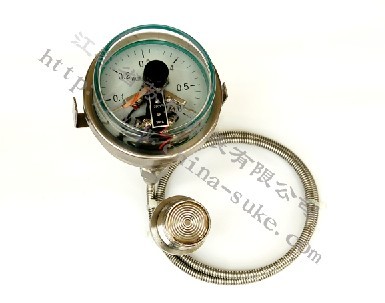 隔離(li)式耐震磁助(zhu)電接點壓力(lì)表