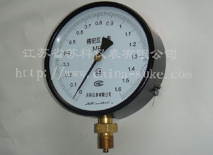 精(jīng)密壓力表