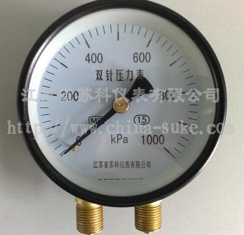 雙(shuāng)針壓力表